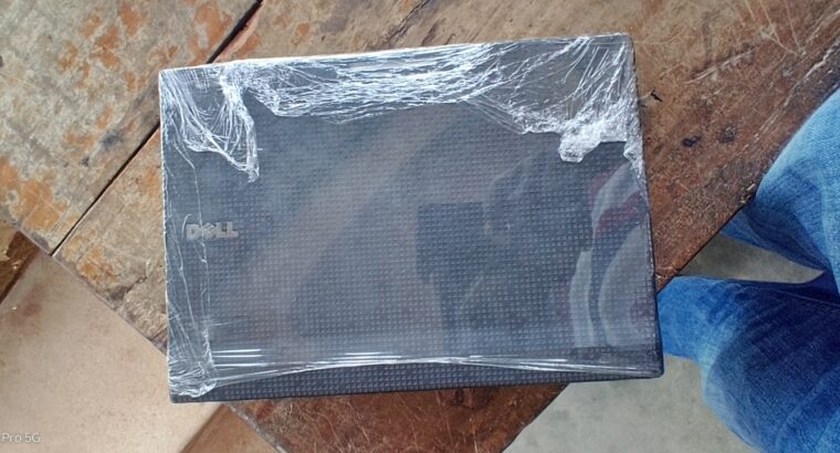 Dell Mini Laptop
